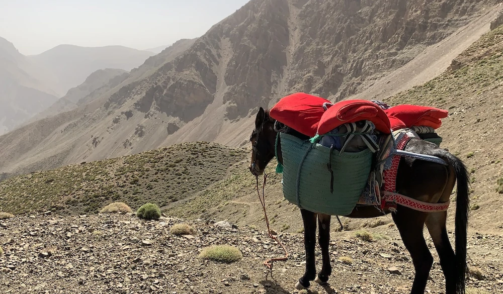 Why Mount Toubkal is a perfect trek for beginners?