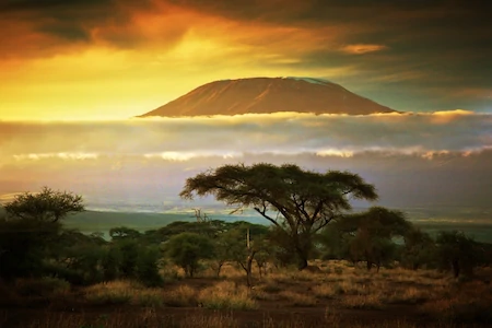 Climb Mount Kilimanjaro Machame Route