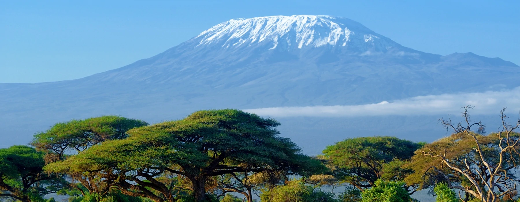 Climb Mount Kilimanjaro Rongai Route