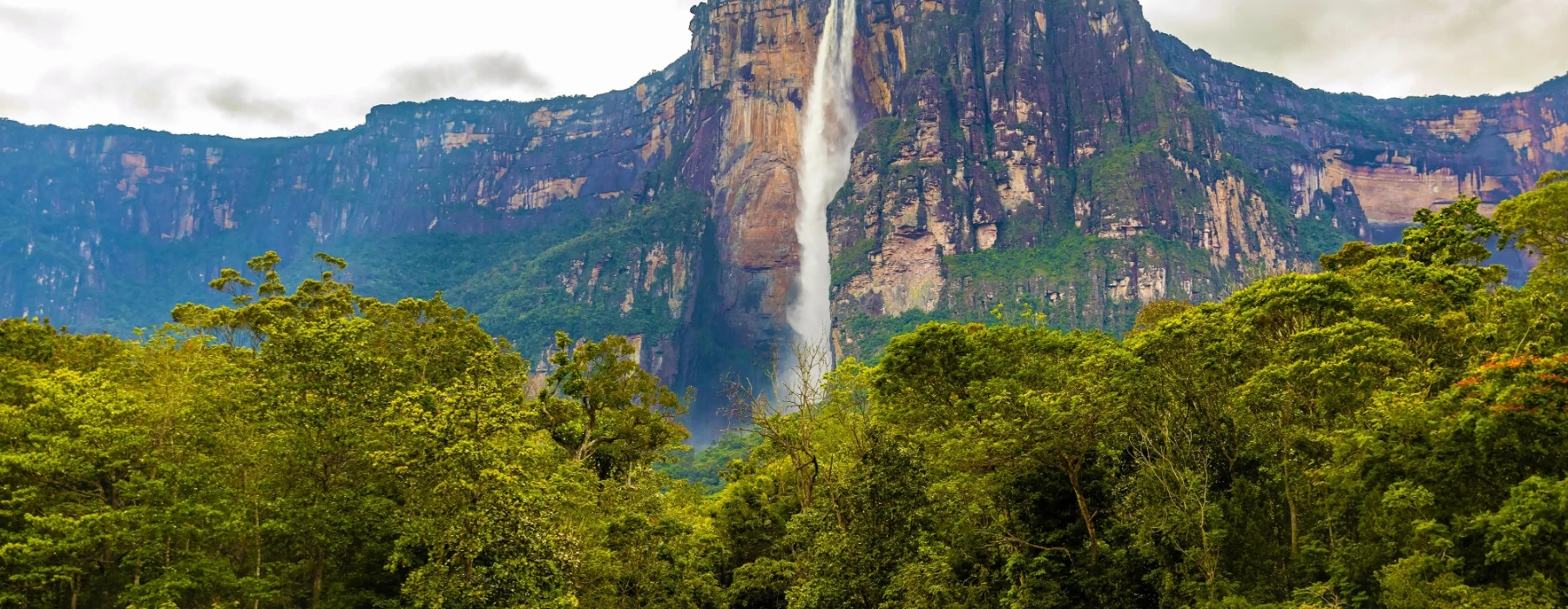 Roraima Trekking - Angel Falls