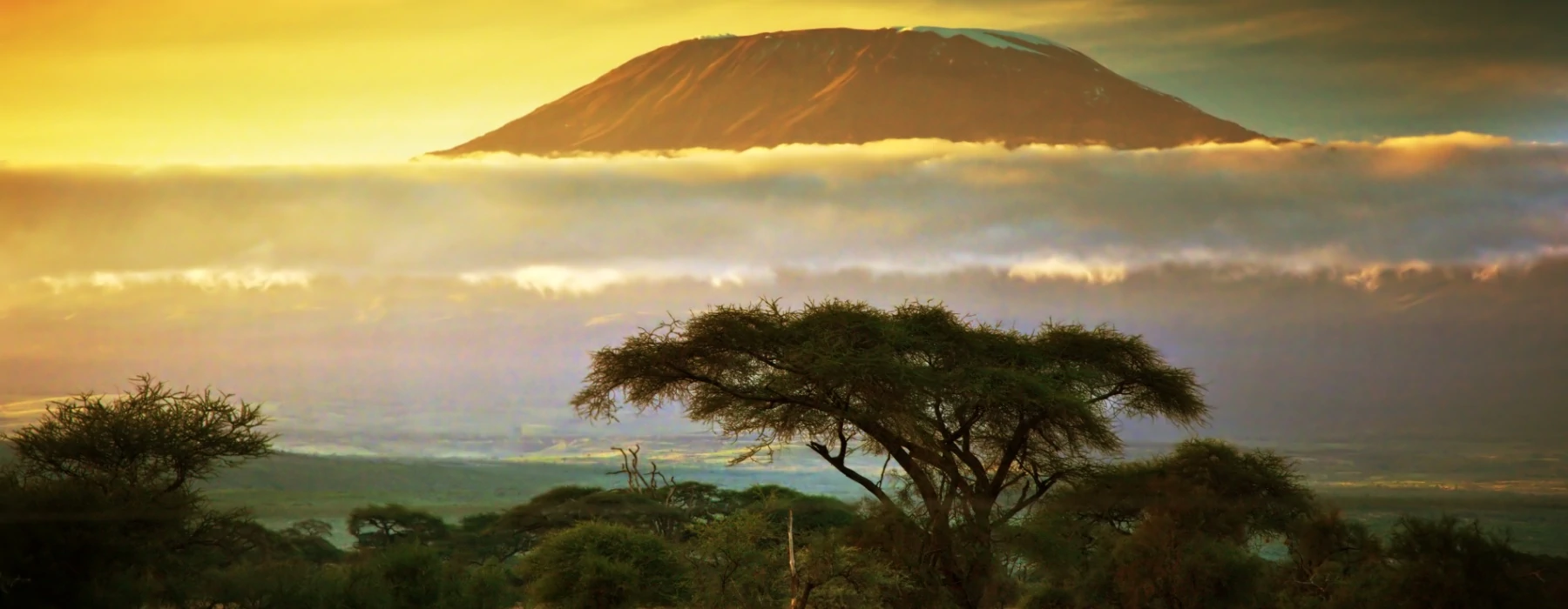 Prevent Breast Cancer Team Climb Mount Kilimanjaro Machame Route