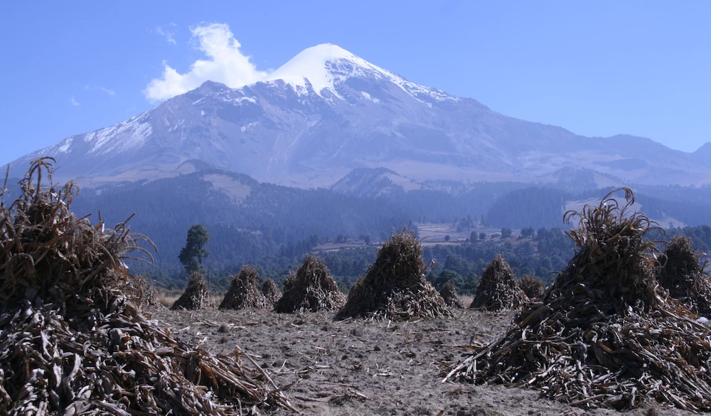 Mexican Volcanoes 6th March 2025 Expedition News