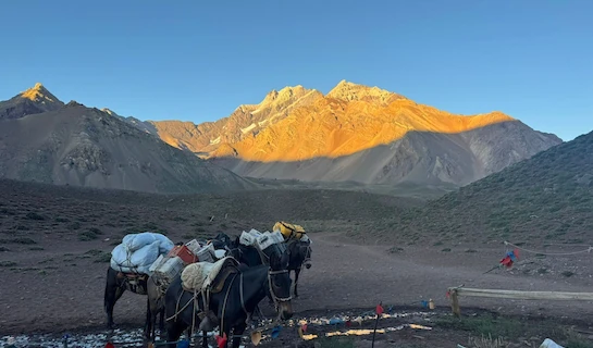 Aconcagua Fast Track - Expedition News 12th February 2026