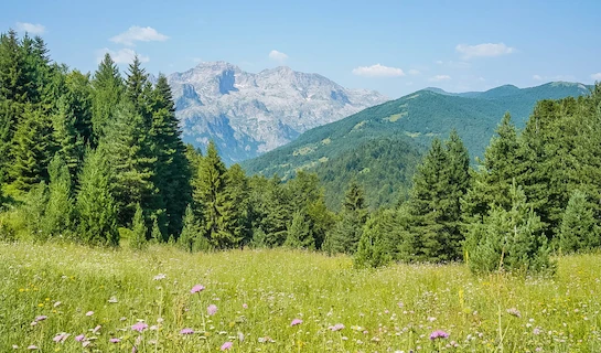 Balkan Three Peaks - Norton Knatchbull
