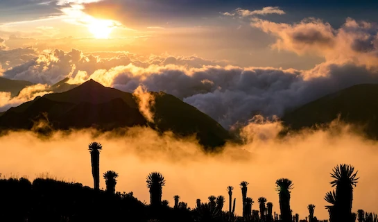Fire, Ice and Lost Cities of Colombia