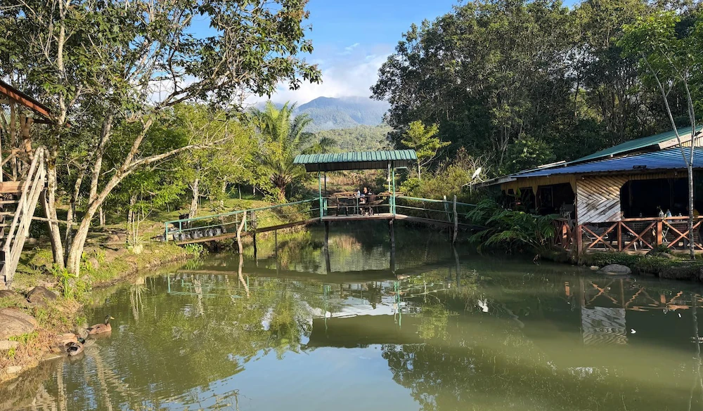 Borneo Three Peaks - Expedition News Page - 12th September 2026