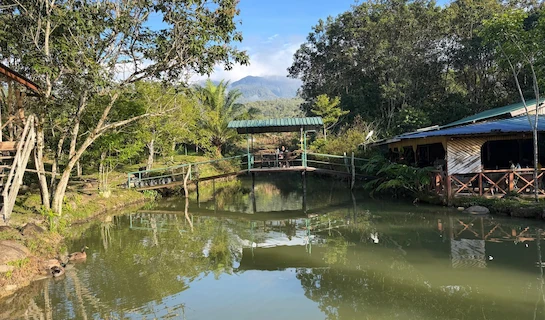 Borneo Three Peaks - Expedition News Page - 12th September 2026